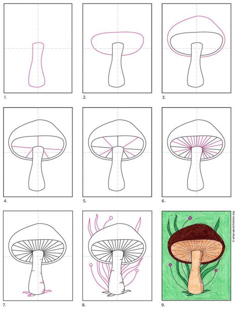 Step by Step Directions for a Mushroom Drawing. Draw the stem. Add an oval around the top. Draw a dome shape. Start the radiating lines. Add more radiating lines. Continue until space is filled. Draw some stem details. Add leaves in the background.